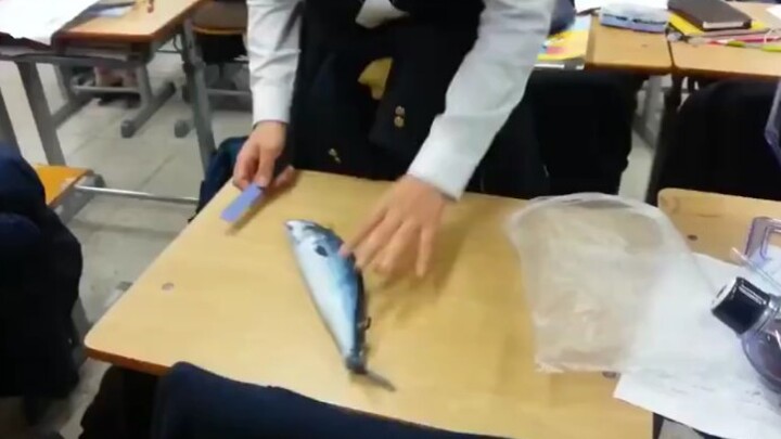 Đề xuất thay đổi: Stunt Chef