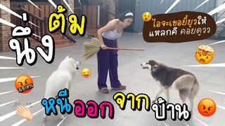 นึ่ง ต้ม หนีออกจากบ้าน ไอจะเขอยี้ยูวให้แหลกคึ - ข้าวนึ่ง & เดอะแก๊ง