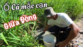 Nữa Ngày Săn Bắt Câu Cá Vùng Miệt Thứ Sóc Trăng| Vlog Ăn Chực