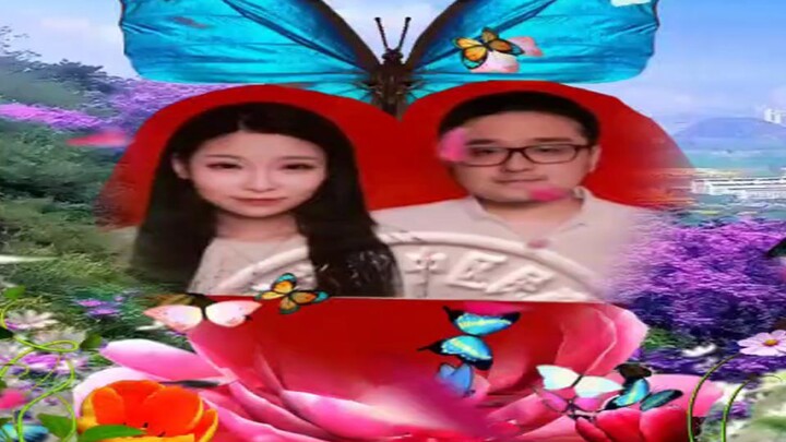 【دي يون سه】فراشة في حالة سكر