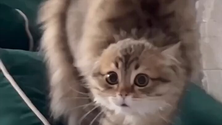 الطفل لطيف جدًا!