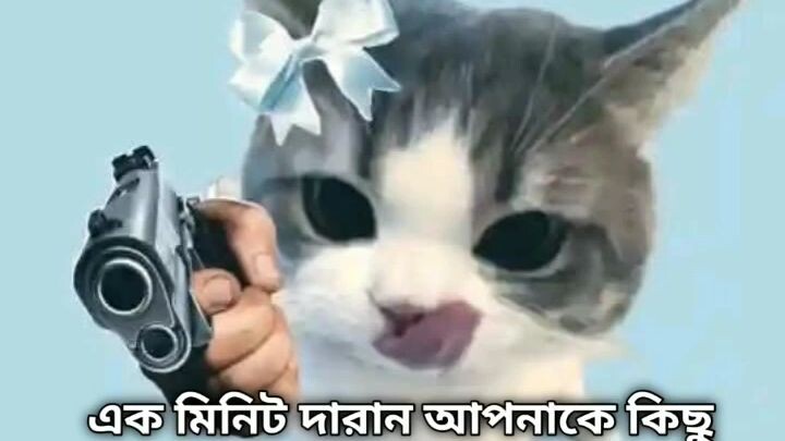 দাঁড়ান