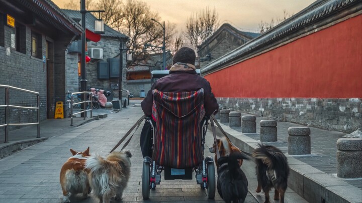 第一次送照片！被北京人整不会了