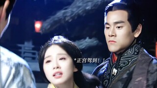 就这个雄竞又争又抢爽！！
