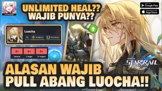 LUOCHA HEALER TERUNIK?? INVESTASI JANGKA PANJANG??! | Honkai: Star Rail