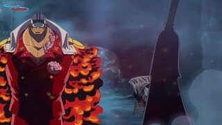 Akainu biết sự thật về Im-sama! Kizaru đang học tập để trở thành Lão Tinh P1