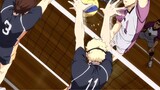 Setelah bulan terbit, tidak ada yang bisa menghentikan "Tsukishima Hotaru" dan menyukai bola voli!