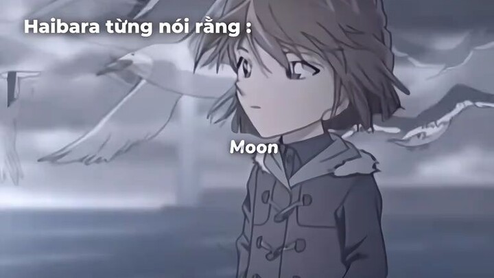 Hoa là một thứ chóng tàn...