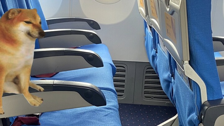 Fishing Law Enforcement