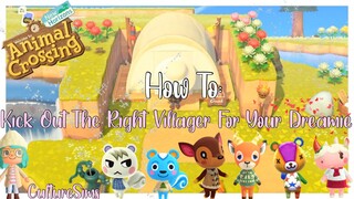 Animal Crossing New Horizons: How to Kick Out the Right Villager When You Have a Dream Camper!