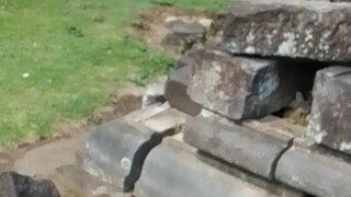 Vlog Candi Prambanan