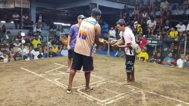 team Hybreed. dome. winner tayo🏆
