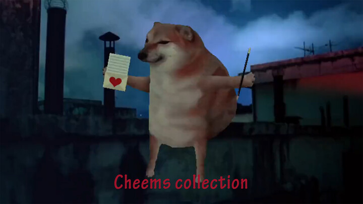 คอลเลกชันวิดีโอของชีมส์