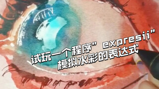 试玩一个程序”expresii”模拟水彩的表达式