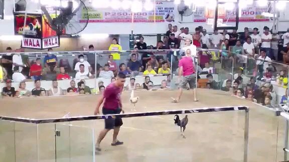 melsim mclean win 🖤