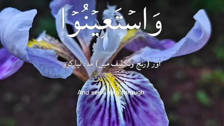Best Quran Lofi 2026
