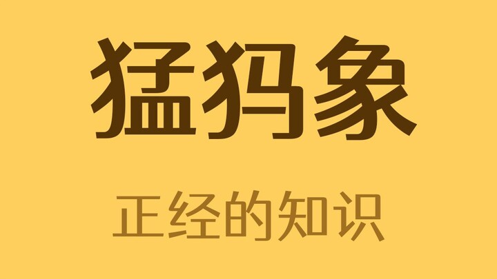 Bây giờ chúng ta vẫn có thể ăn thịt voi ma mút không?