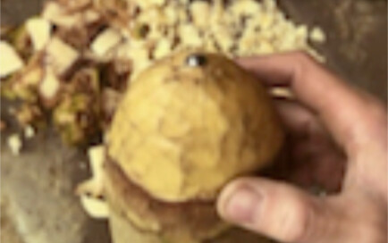 Đây là ký ức của biết bao thế hệ 7X, 8X.