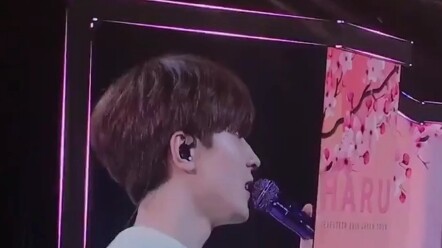 ไหนล่ะแมวน้อยขี้อ้อนแสนหวาน