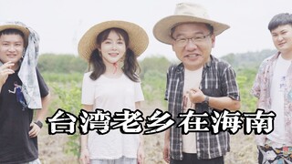 不摘老乡凤梨，不笑老乡口音，漠叔获得台湾老乡好评