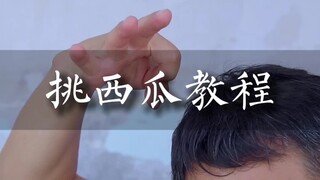 دورة تعليمية لقطف البطيخ