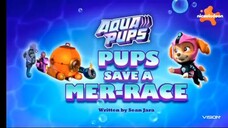 Paw patrol Musim 9 Episode 18 Bahasa Indonesia