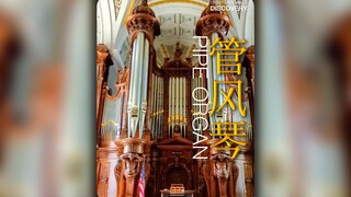 มาดูออร์แกนในรัฐแมสซาชูเซตส์กันเถอะ