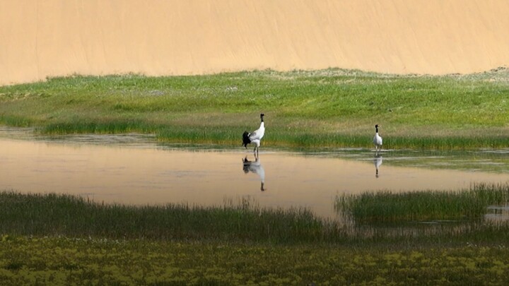 Sepertujuh wilayah Tiongkok akan dijadikan taman nasional, dengan pemandangan memukau yang terungkap