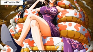 Top 6 Mĩ Nhân Trong Dàn Harem Của Luffy #10 5
