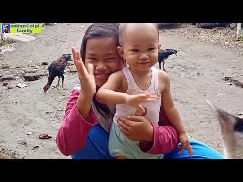 LUCU AKIFA NANGKEP ANAK BEBEK SAMBIL NYANYI LAGU ANAK ANAK