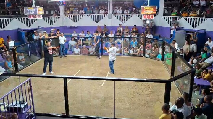 Butcher of Mr. Gilbert Gozum | Black Mamba 1 of Victoria Tarlac | 2 Hits Ulutan Dagupan City