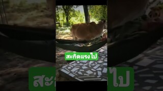 ^ดูรวมคลิปเต็มชุดนี้กดลิงค์ด้านบนจ้า^ เรียกยังไงก็ไม่ตื่น
