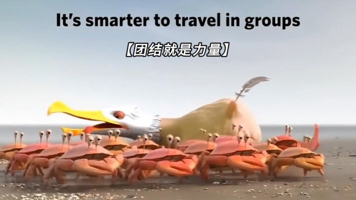 Con cua giơ càng lên trời, ngay lập tức biến chú chim biển đang lao tới thành một “mẫu mới” đầy ấn t