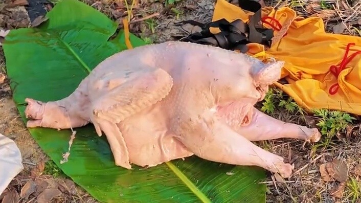 Tingkat piksel! Kalahkan ayam liar TGA dan anjing penjilat kanker! Orang yang menambahkan takdir den