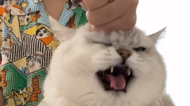 Fen refused to play along and got smacked by her mom, but even that didn’t work anymore—now Fen even
