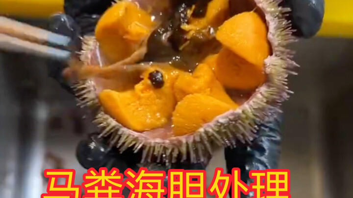 Lại đến mùa nhím biển