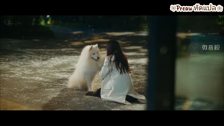 เพลงใหม่ชื่อ "She" ขับร้องโดย Liu Yuning (หลิวอวี่หนิง) เพลงประกอบ ซีรีส์ ฤดูใหม่นี้มีเพียงเราสอง