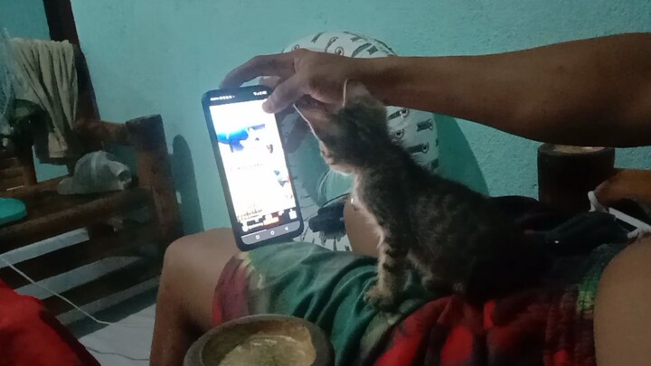 manood din pag may time, wag puro ngiyaw😅