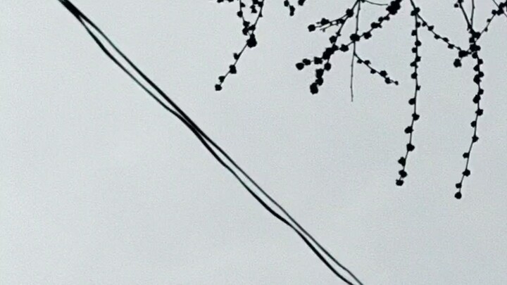 बनारस के मार्कण्डेय महादेव मंदिर में महाशिवरात्रि पर पुष्प वर्षा