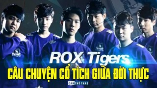 ROX TIGERS | CÂU CHUYỆN CỔ TÍCH GIỮA ĐỜI THỰC