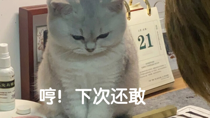 عندما يكون الطفل هادئًا جدًا، فمن المؤكد أنه يخطط لعمل مشاكل.