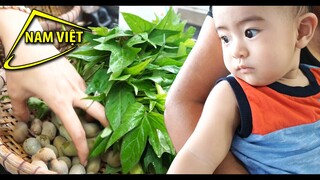 Rau lang luộc mắm me là ngon hết sẩy - Nam Việt 1599