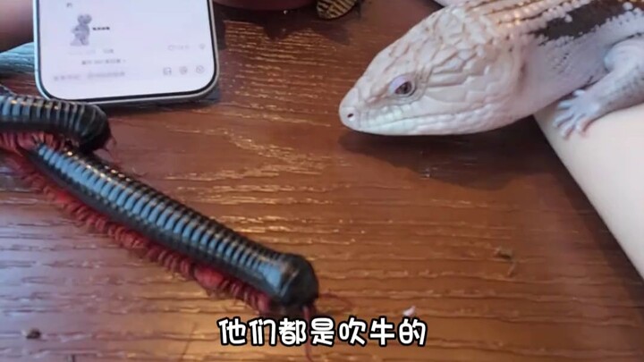 Orang Chengdu, keluarlah