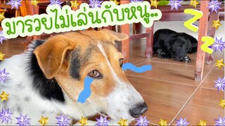 โลกของแสนดี ตอน ไม่มีเพื่อนเล่นด้วย..