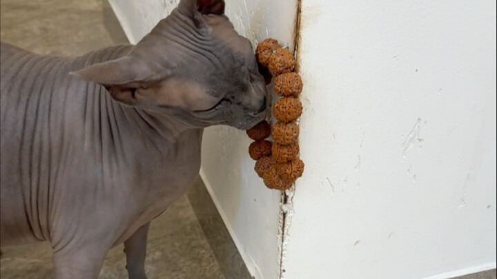 التحديث المنتظر عن غلاف الزاوية الذي شاهده 20 مليون شخص!