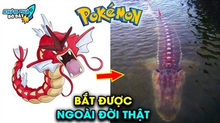 ✈️ Truy Tìm Nguồn Gốc 10 Pokemon Ngoài Đời Thực Phần 2 và Cái Kết Cực Bất Ngờ | Khám Phá Đó Đây