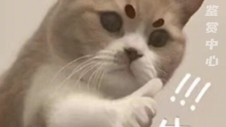 #ซูไห่เฉียว: แต่พวกเธอบอกว่าฉันเล่นเป็นพระเอกคู่กับหลิวอี้เฟยได้นะ~ #หยางหยาง #ซูไห่เฉียวในช่องคอมเม