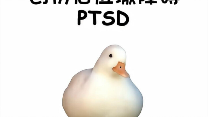 Psikologi Anak Itik — Gangguan Stres Pascatrauma PTSD
