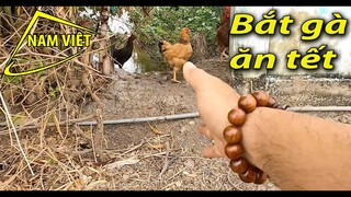 24 tết [Nam Việt 1916] Ra nhà cô Út ngoài đồng mua gà vịt