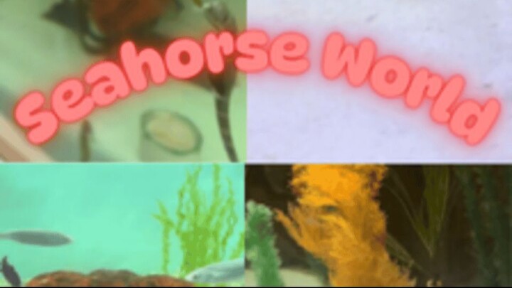 Seahorse World